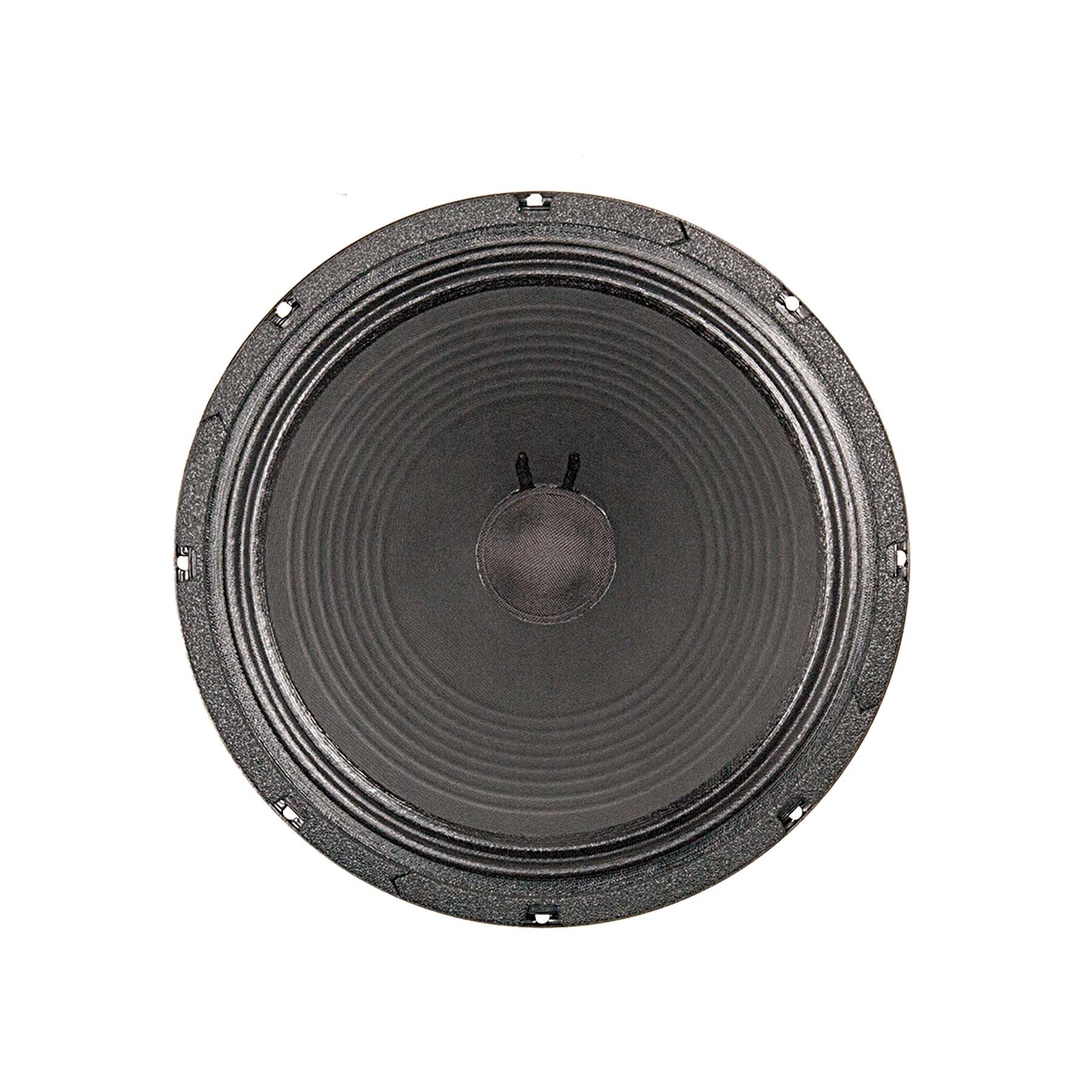 JS-1250 12" Signature Guitar Speaker - Image 2