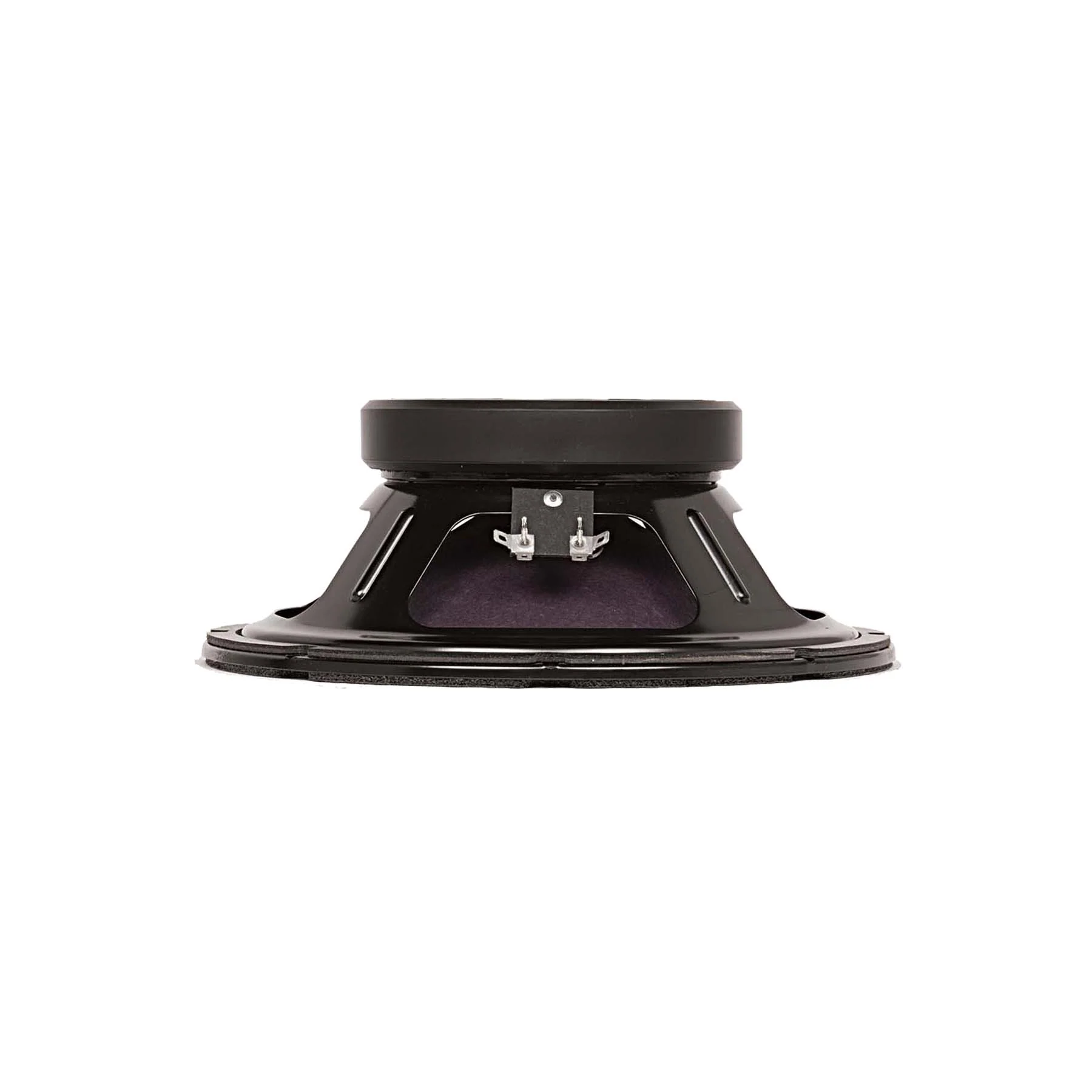 RAGIN CAJUN 10" Guitar Speaker-16 Ohm - Image 3